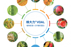 维大力VDAL|面对逆境胁迫，如何让植物由“被动压迫”转为“主动防御”？
