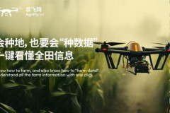 《低空经济风起，农飞网如何走出一条中国 特色农业飞行路线？》