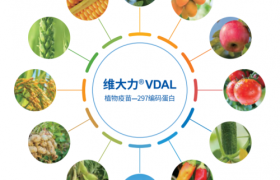 维大力VDAL|面对逆境胁迫，如何让植物由“被动压迫”转为“主动防御”？