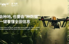 《低空经济风起，农飞网如何走出一条中国 特色农业飞行路线？》