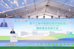 薯界盛事：聚智赋能：第十三届中国国际薯业博览会在田间盛大举行